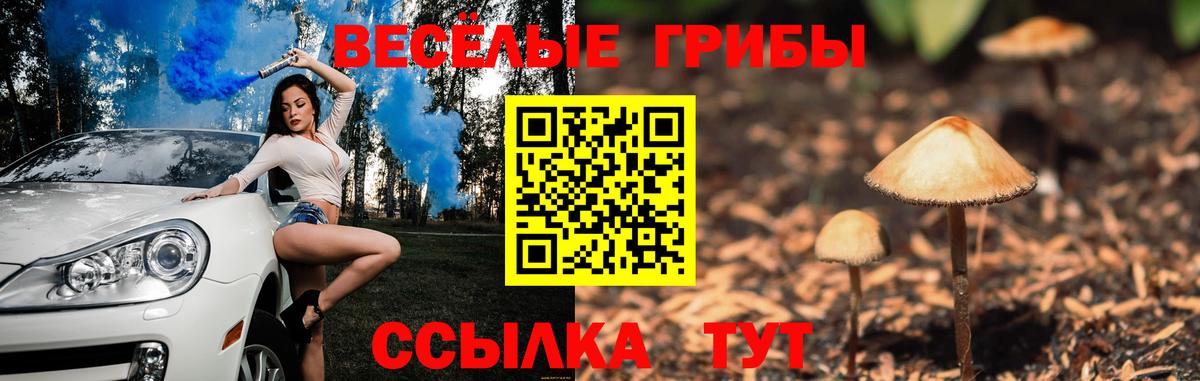 Новороссийск  Галлюциногенные грибы прущие грибы  Вход с VPN  Псилоцибиновые грибы Psilocybine cubensis 